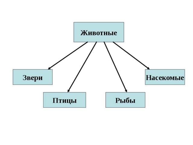 Животные Звери Насекомые Птицы Рыбы 