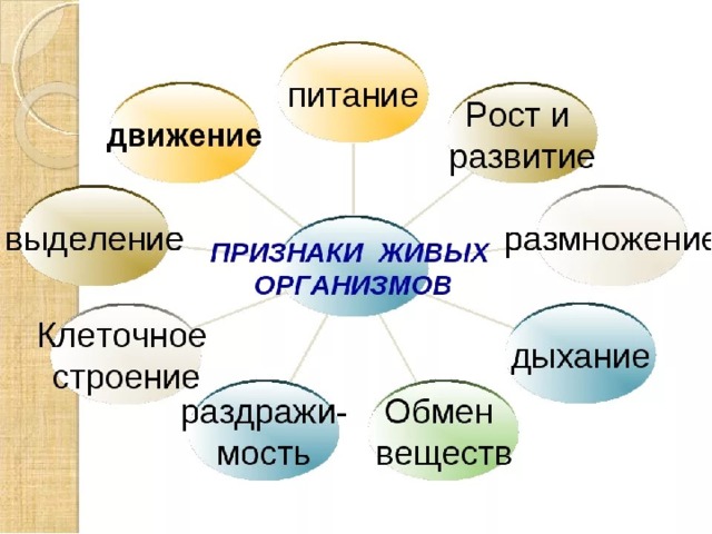 Проект 10 класс биология