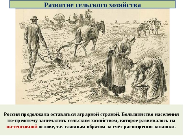 Развитие сельского хозяйства Россия продолжала оставаться аграрной страной. Большинство населения по-прежнему занимались сельским хозяйством, которое развивалось на экстенсивной основе, т.е. главным образом за счёт расширения запашки. 