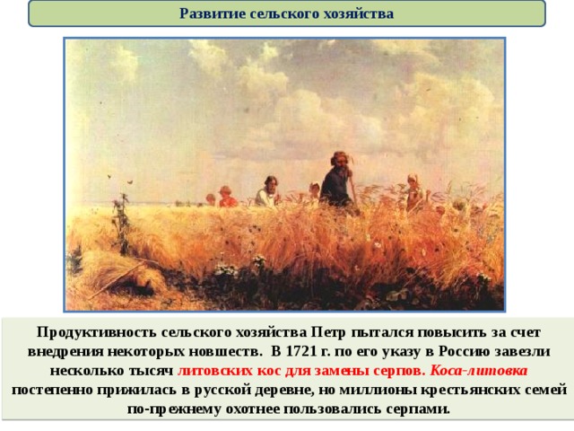 Развитие сельского хозяйства Продуктивность сельского хозяйства Петр пытался повысить за счет внедрения некоторых новшеств. В 1721 г. по его указу в Россию завезли несколько тысяч литовских кос для замены серпов. Коса-литовка постепенно прижилась в русской деревне, но миллионы крестьянских семей по-прежнему охотнее пользовались серпами. 
