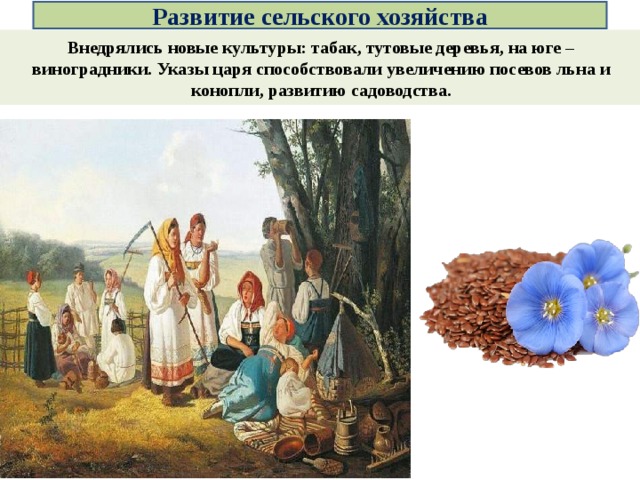 Развитие сельского хозяйства Внедрялись новые культуры: табак, тутовые деревья, на юге – виноградники. Указы царя способствовали увеличению посевов льна и конопли, развитию садоводства. 