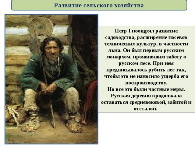 Развитие сельского хозяйства Петр I поощрял развитие садоводства, расширение посевов технических культур, в частности льна. Он был первым русским монархом, проявившим заботу о русском лесе. При нем предписывалось рубить лес так, чтобы это не наносило ущерба его воспроизводству. Но все это были частные меры. Русская деревня продолжала оставаться средневековой, забитой и отсталой. 