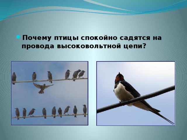 Почему птицы спокойно садятся на провода высоковольтной цепи? 