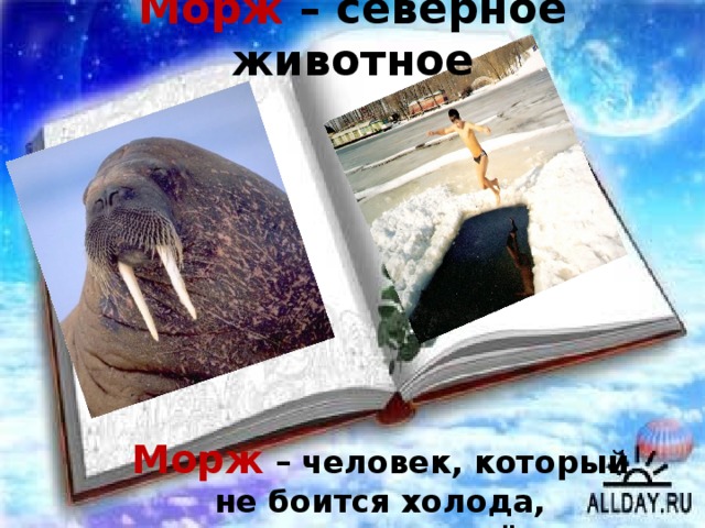 Морж – северное животное Морж – человек, который не боится холода, купается, закалён. 