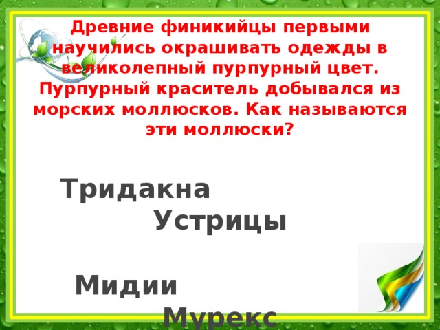 Древние финикийцы первыми научились окрашивать одежды в великолепный пурпурный цвет. Пурпурный краситель добывался из морских моллюсков. Как называются эти моллюски?   Тридакна Устрицы   Мидии Мурекс 