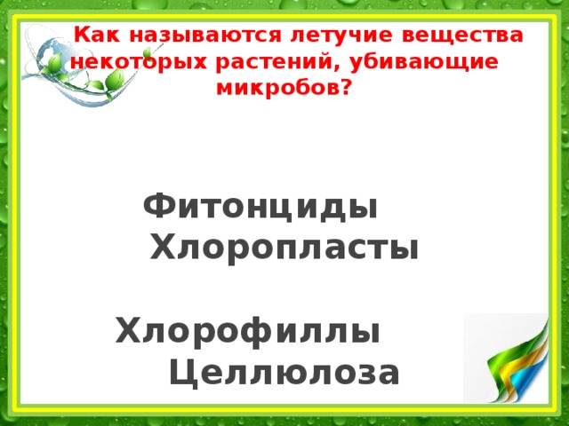  Как называются летучие вещества некоторых растений, убивающие микробов?    Фитонциды Хлоропласты   Хлорофиллы Целлюлоза 