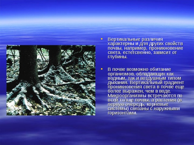 Вертикальные различия характерны и для других свойств почвы, например, проникновение света, естетсвенно, зависит от глубины.  В почве возможно обитание организмов, обладающих как водным, так и воздушным типом дыхания. Вертикальный градиент проникновения света в почве еще более выражен, чем в воде. Микроорганизмы встречаются по всей толще почвы, а растения (в первую очередь, корневые системы) связаны с наружными горизонтами. 