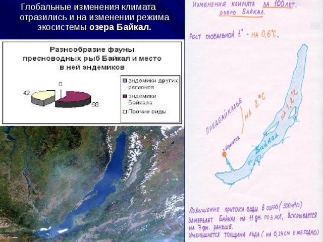 Глобальные изменения климата отразились и на изменении режима экосистемы озера Байкал.  