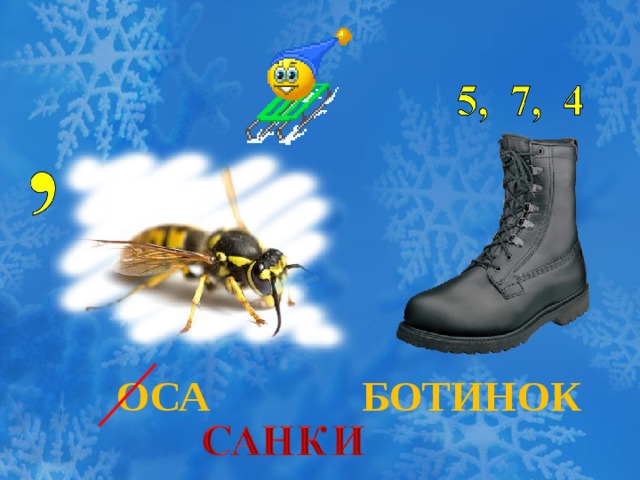 ОСА БОТИНОК 