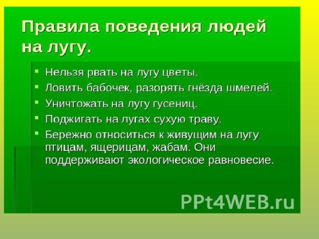 Жизнь луга 4 класс окружающий мир презентация