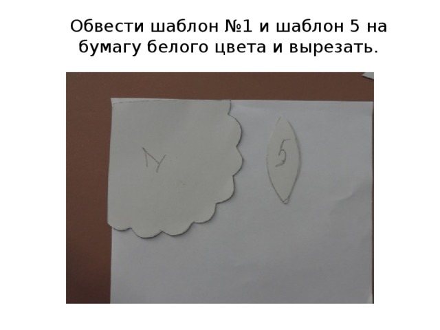 Обвести шаблон №1 и шаблон 5 на бумагу белого цвета и вырезать. 