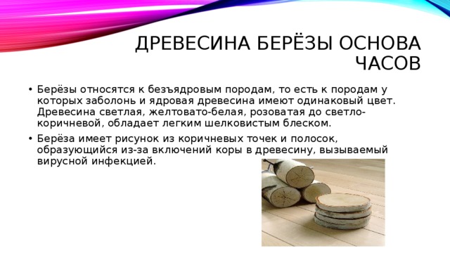 Древесина берЁзы основа часов Берёзы относятся к безъядровым породам, то есть к породам у которых заболонь и ядровая древесина имеют одинаковый цвет. Древесина светлая, желтовато-белая, розоватая до светло-коричневой, обладает легким шелковистым блеском. Берёза имеет рисунок из коричневых точек и полосок, образующийся из-за включений коры в древесину, вызываемый вирусной инфекцией. 