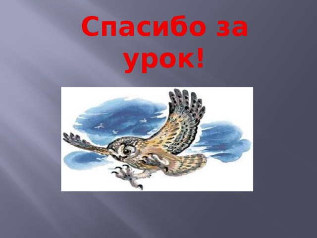 Сова презентация 2 класс. План сказки Сова 2 класс Бианки. Бианки Сова презентация 2 класс школа России. В Бианки Сова 2 класс школа России. Бианки Сова презентация 2 класс.