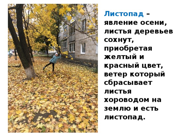 Листопад – явление осени, листья деревьев сохнут, приобретая желтый и красный цвет, ветер который сбрасывает листья хороводом на землю и есть листопад. 