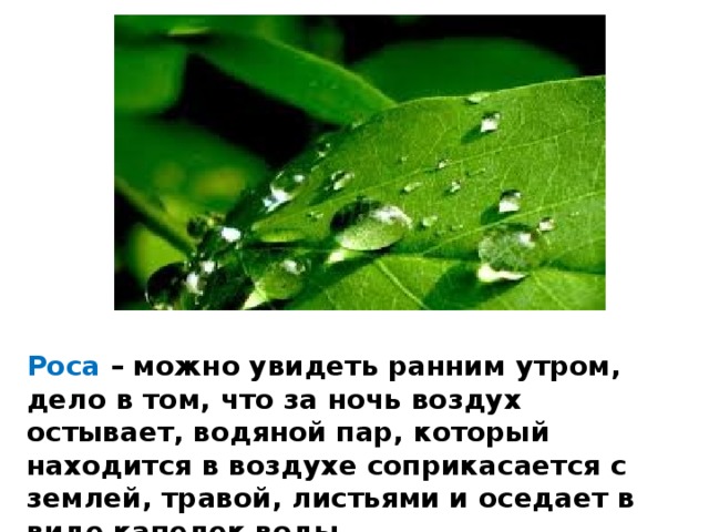 Роса – можно увидеть ранним утром, дело в том, что за ночь воздух остывает, водяной пар, который находится в воздухе соприкасается с землей, травой, листьями и оседает в виде капелек воды. 