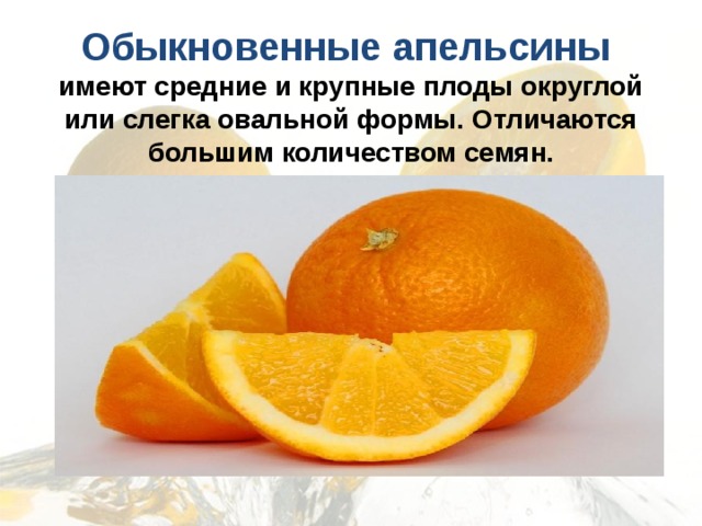  Обыкновенные апельсины  имеют средние и крупные плоды округлой или слегка овальной формы. Отличаются большим количеством семян.   