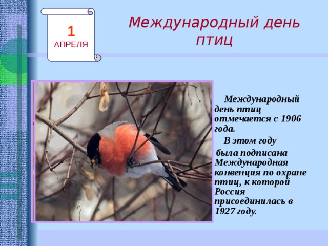 Международный день птиц 1 АПРЕЛЯ   Международный день птиц отмечается с 1906 года.  В этом году  была подписана Международная конвенция по охране птиц, к которой Россия присоединилась в 1927 году.  