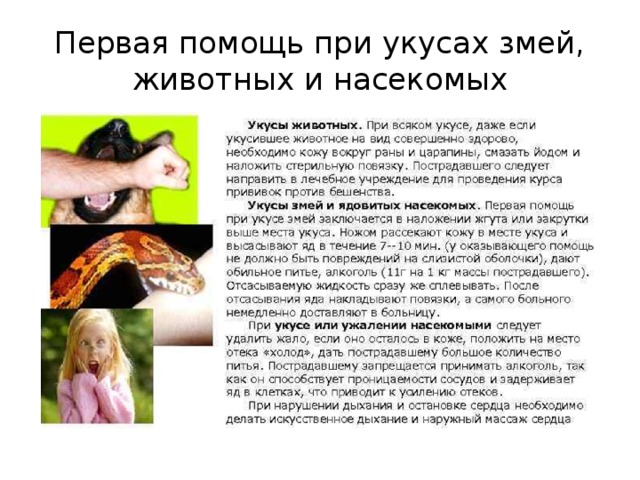 Действия в случае укуса насекомых. Оказание первой помощи при укусах змей и насекомых. Первая помощь при укусах змей клещей и ядовитых насекомых. Оказание помощи при укусах насекомых змей животных. Оказание первой помощи при укусе животных, змей, ядовитых животных.