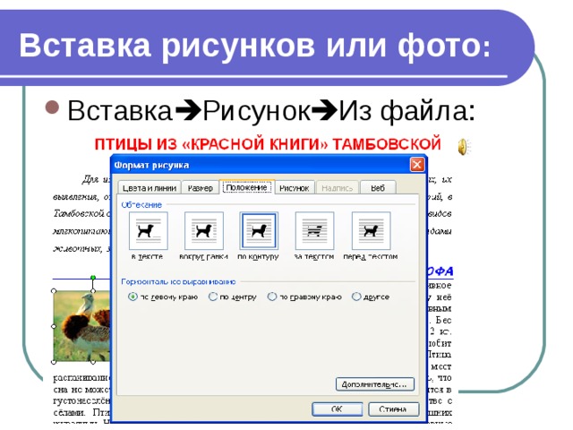 Каким элементом следует воспользоваться для вставки рисунка из графического файла