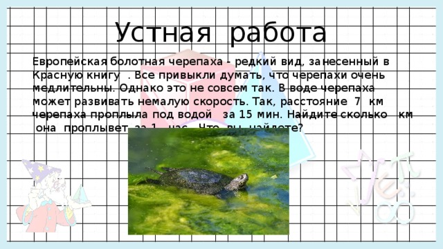 Устная работа Европейская болотная черепаха - редкий вид, занесенный в Красную книгу . Все привыкли думать, что черепахи очень медлительны. Однако это не совсем так. В воде черепаха может развивать немалую скорость. Так, расстояние  7 км черепаха проплыла под водой за 15 мин. Найдите сколько км она проплывет за 1 час. Что вы найдете? 