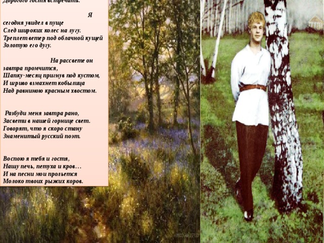 Разбуди меня завтра рано,  О моя терпеливая мать!  Я пойду за дорожным курганом  Дорогого гостя встречать. Я сегодня увидел в пуще  След широких колес на лугу.  Треплет ветер под облачной кущей  Золотую его дугу. На рассвете он завтра промчится,  Шапку-месяц пригнув под кустом,  И игриво взмахнет кобылица  Над равниною красным хвостом. Разбуди меня завтра рано,  Засвети в нашей горнице свет.  Говорят, что я скоро стану  Знаменитый русский поэт. Воспою я тебя и гостя,  Нашу печь, петуха и кров…  И на песни мои прольется  Молоко твоих рыжих коров. 
