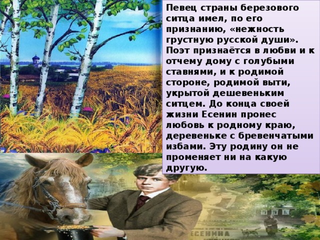 Певец страны березового ситца имел, по его признанию, «нежность грустную русской души». Поэт признаётся в любви и к отчему дому с голубыми ставнями, и к родимой стороне, родимой выти, укрытой дешевеньким ситцем. До конца своей жизни Есенин пронес любовь к родному краю, деревеньке с бревенчатыми избами. Эту родину он не променяет ни на какую другую. 