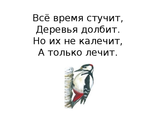 Всё время стучит,  Деревья долбит.  Но их не калечит,  А только лечит. 