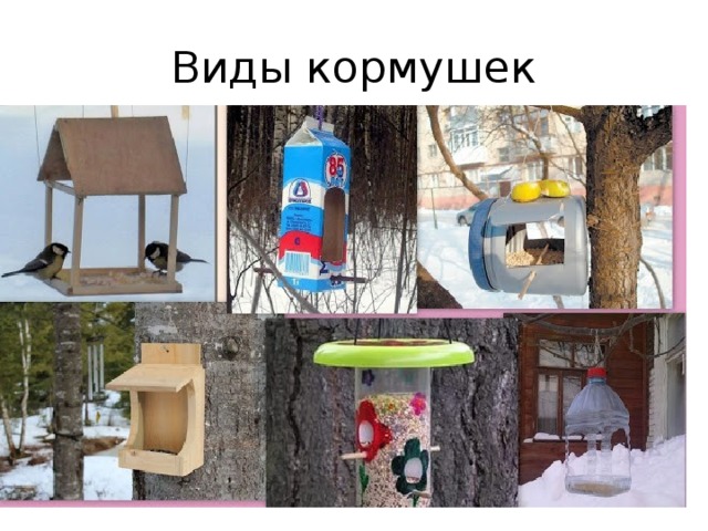 Виды кормушек 