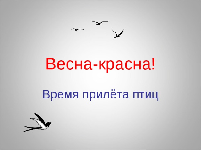 Презентация птицы прилетели весну принесли