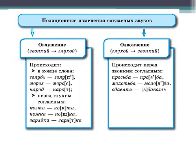 Например согласно. Чем вызываются позиционные изменения звуков.