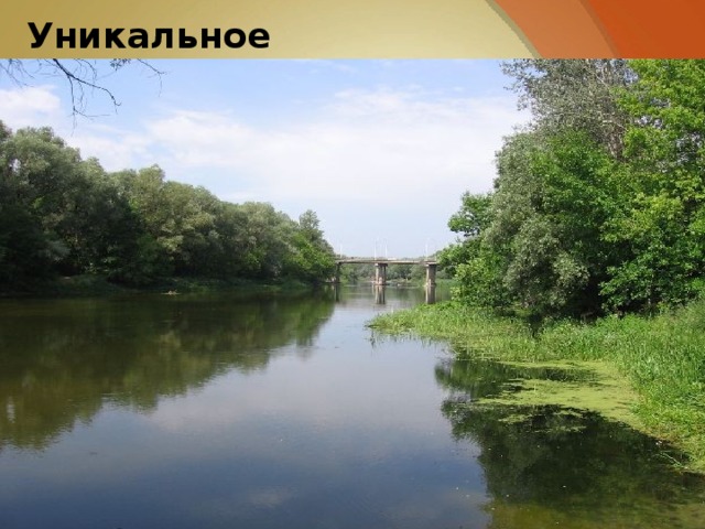 Уникальное оздоровление 