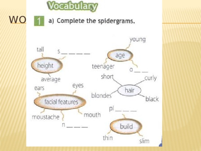 Complete the spidergrams перевод