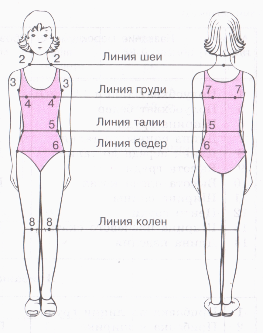 Линия талии на чертеже