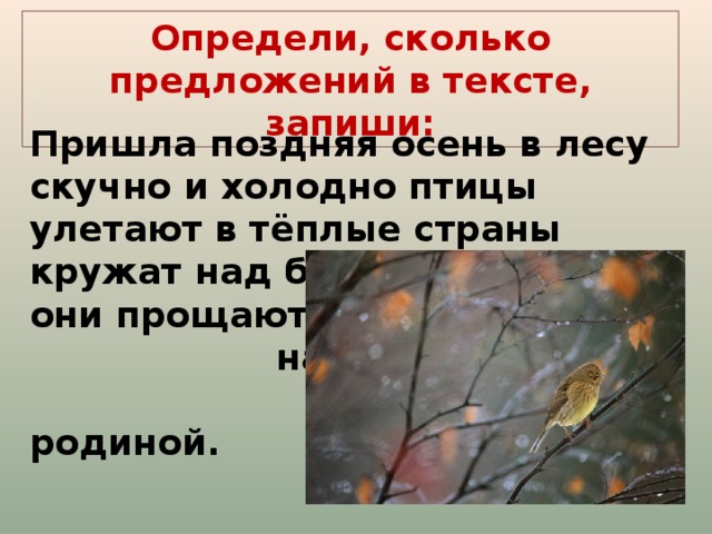 Их маленькие берлоги покрывают снежные сугробы и они преспокойно спят всю зиму схема предложения