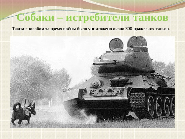Собаки – истребители танков Таким способом за время войны было уничтожено около 300 вражеских танков.