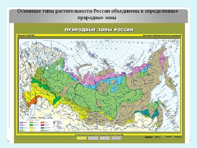Основные типы растительности России объединены в определенные природные зоны 
