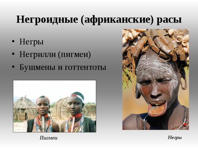 Негроидные (африканские) расы Негры Негрилли (пигмеи) Бушмены и готтентоты  Негры Пигмеи  
