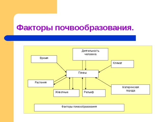 Схема процесса почвообразования