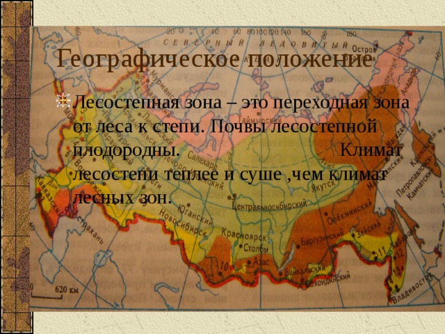 Географическое положение Лесостепная зона – это переходная зона от леса к степи. Почвы лесостепной плодородны. Климат лесостепи теплее и суше ,чем климат лесных зон. 