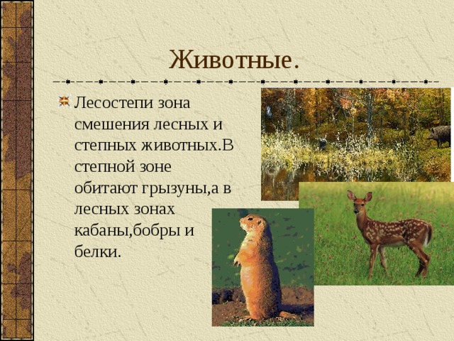  Животные. Лесостепи зона смешения лесных и степных животных.В степной зоне обитают грызуны,а в лесных зонах кабаны,бобры и белки. 