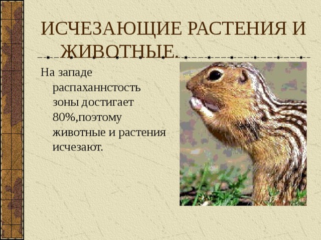 ИСЧЕЗАЮЩИЕ РАСТЕНИЯ И ЖИВОТНЫЕ. На западе распаханнстость зоны достигает 80%,поэтому животные и растения исчезают. 