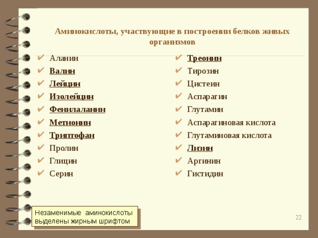 Аминокислоты, участвующие в построении белков живых организмов Аланин Валин Лейцин Изолейцин Фенилаланин Метионин Триптофан Пролин Глицин Серин Треонин Тирозин Цистеин Аспарагин Глутамин Аспарагиновая кислота Глутаминовая кислота Лизин Аргинин Гистидин Незаменимые аминокислоты выделены жирным шрифтом  