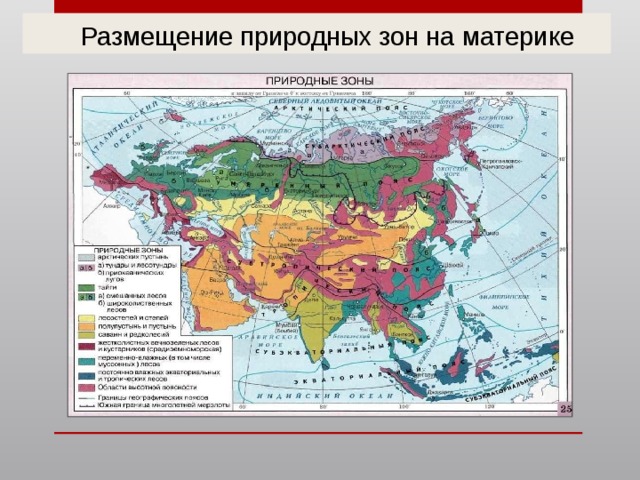  Размещение природных зон на материке 