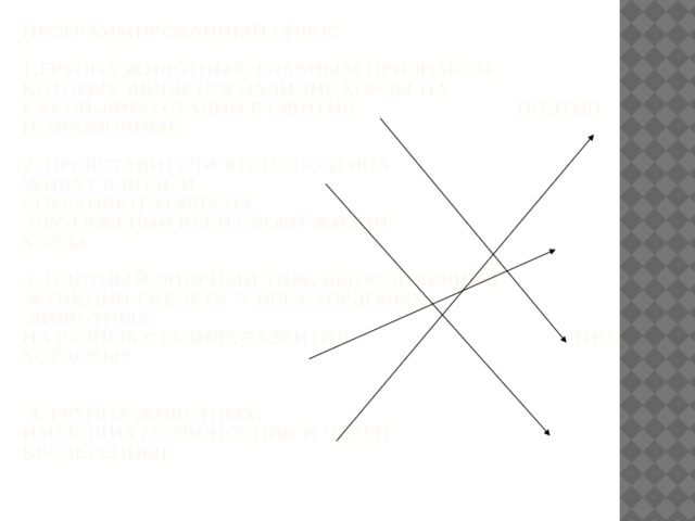  Программированный опрос   1.Группа животных, главным признаком  которых является наличие хорды на  какой-либо стадии развития Подтип Позвоночные    2. Представители этого подтипа  живут в воде и  сохраняют хорду на  протяжении всей своей жизни Хорда   3. плотный опорный тяж, выполняющий  функции скелета у всех Хордовых  животных  на разных стадиях развития Тип Хордовые    4. Группа животных,  имеющих позвоночник и череп Бесчерепные   