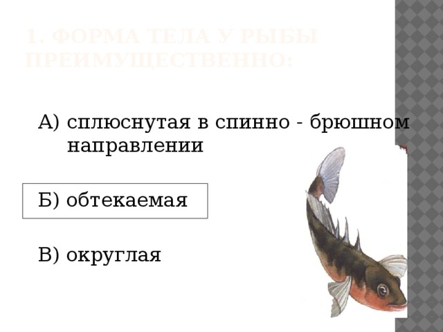  ЗАКРЕПЛЕНИЕ: Какая форма тела у рыбы?  2. Чем и как покрыта кожа рыбы?     3. В чем разница в окраске спинной и  брюшной стороны тела рыбы? 4. Изучите предупреждающую окраску тела рыбы Чем она отличается от покровительственной? 5. Определите тип окраски рыб :  А) Б) Назовите части тела рыбы и плавники. 