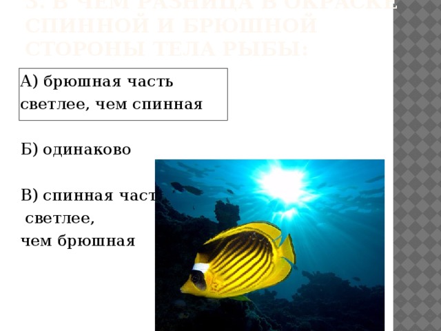 2. Чем и как покрыта кожа рыбы? А) чешуй и слизью Б) чешуей, направленной от головы к хвосту, и слизью В) чешуей, не образующей сплошного покрова, и слизью 