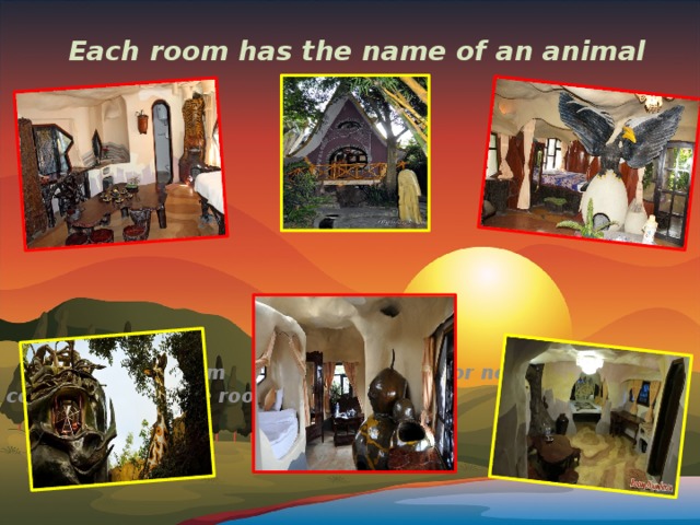 Each room has the name of an animal  Tiger room Honey Moon for newly married couples Eagle room 