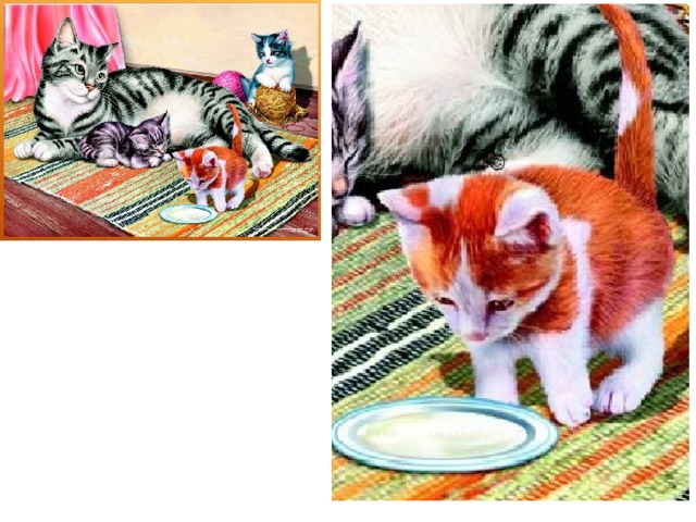 Рассказ по картине кошка с котятами. Рассказывание по картине кошка с котятами. Картина кошка с котятами Ушакова. Составление рассказа по картинке кошка с котятами. Картина кошка с котятами в средней группе.