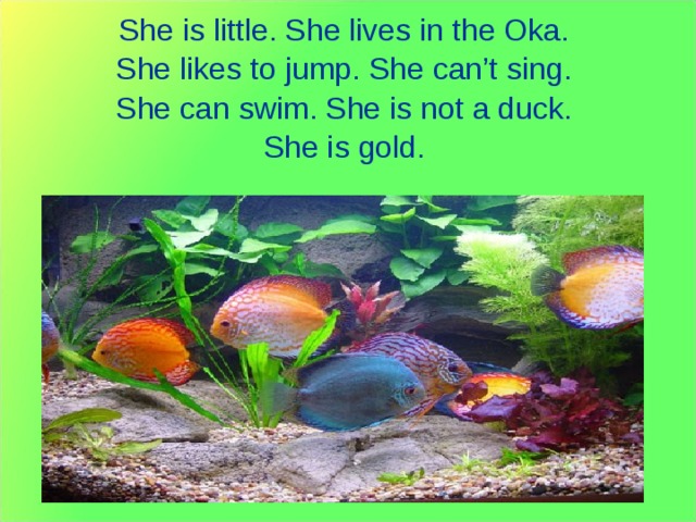 She is little. She lives in the Oka. She likes to jump. She can’t sing. She can swim. She is not a duck. She is gold. 