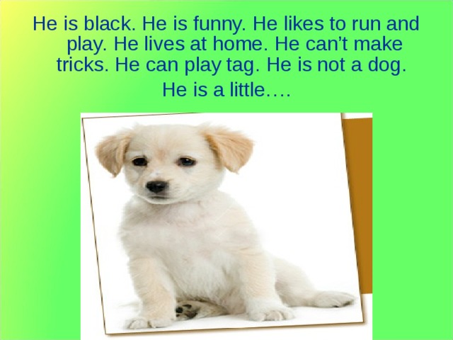 He is black. He is funny. He likes to run and play. He lives at home. He can’t make tricks. He can play tag. He is not a dog. He is a little…. 